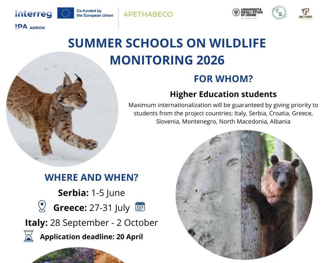 Summer Schools on wildlife monitoring 2026 – Apply now! – Oikon d.o.o.